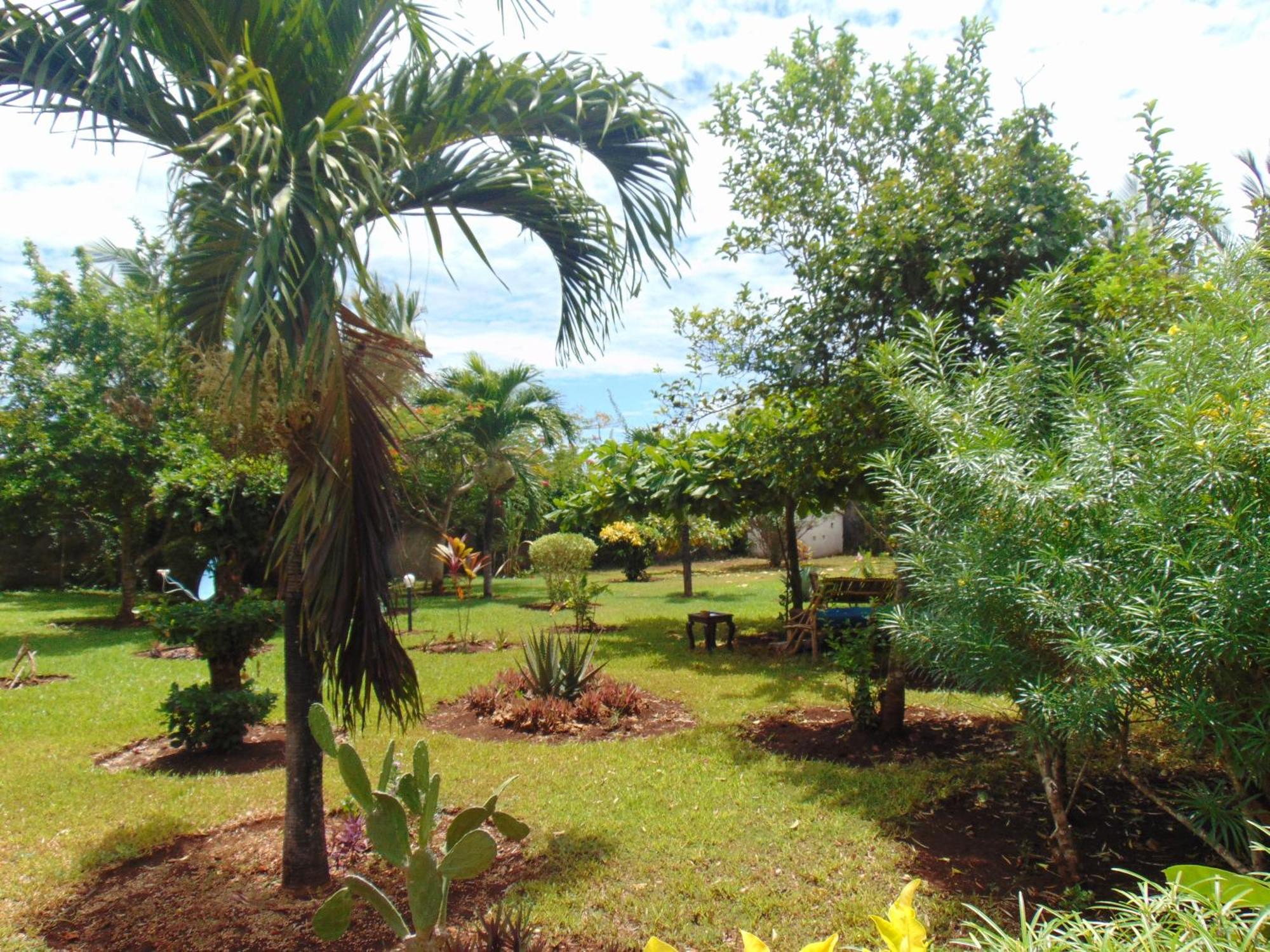 Villas Dora And Holly شاطئ دياني المظهر الخارجي الصورة